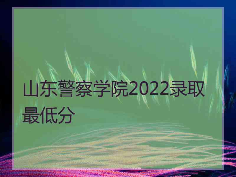 山东警察学院2022录取最低分