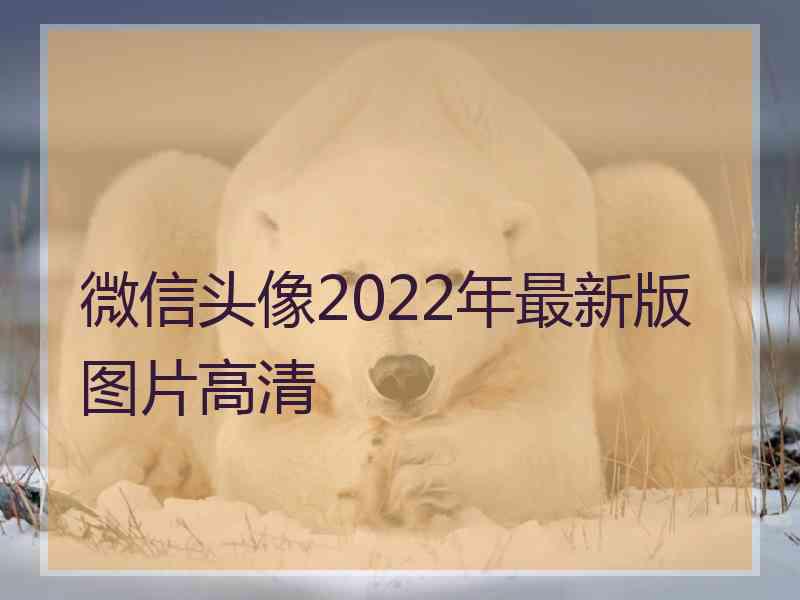 微信头像2022年最新版图片高清