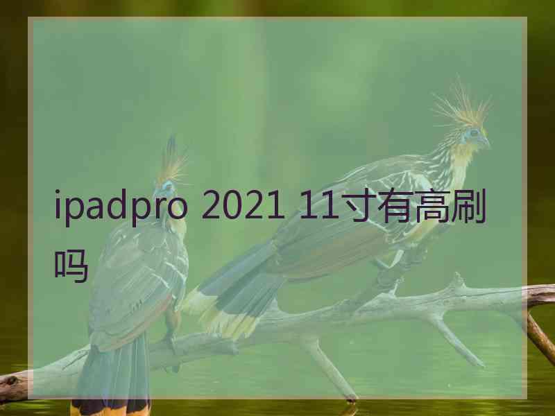 ipadpro 2021 11寸有高刷吗