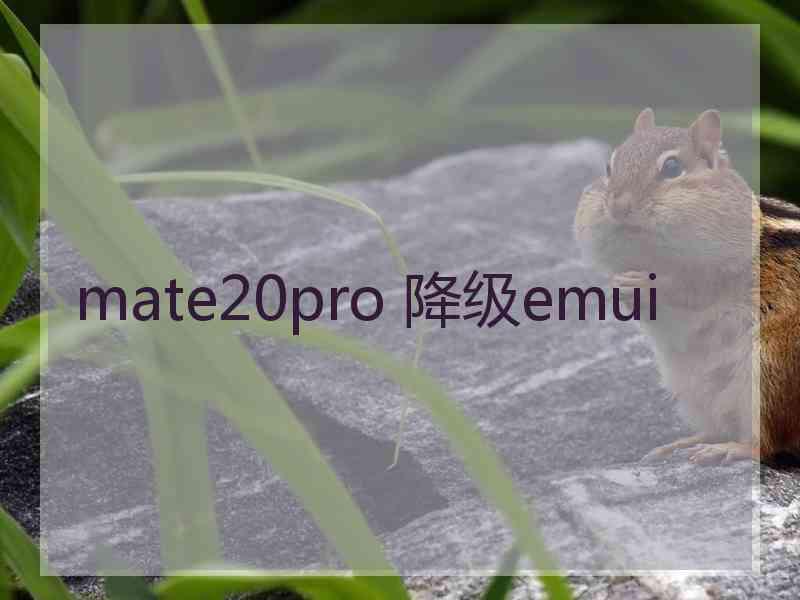 mate20pro 降级emui