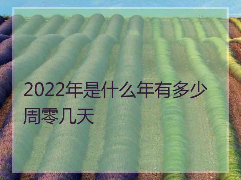 2022年是什么年有多少周零几天