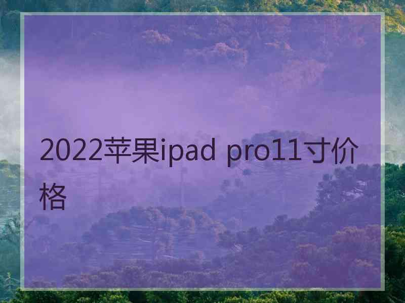 2022苹果ipad pro11寸价格