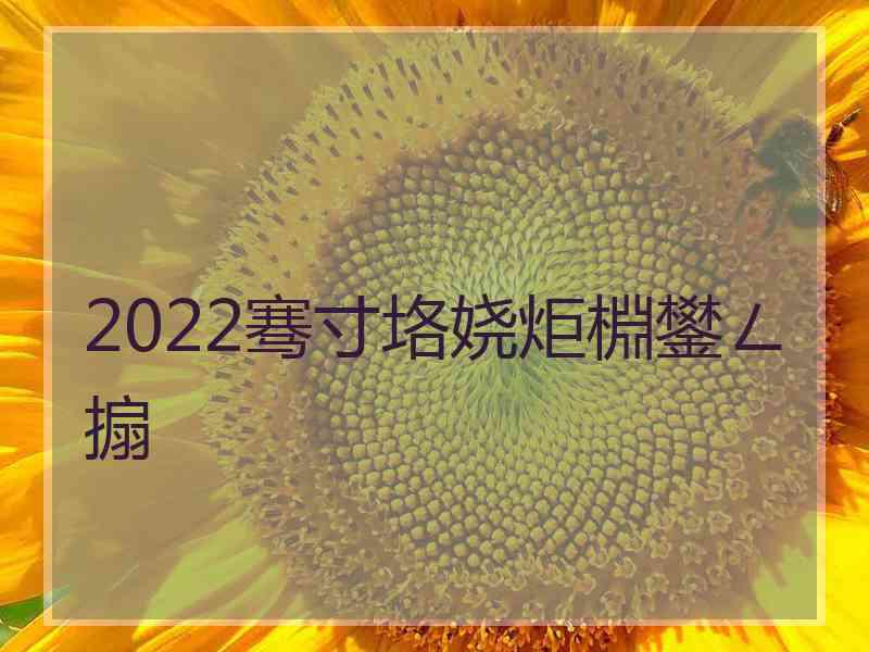 2022骞寸垎娆炬棩鐢ㄥ搧