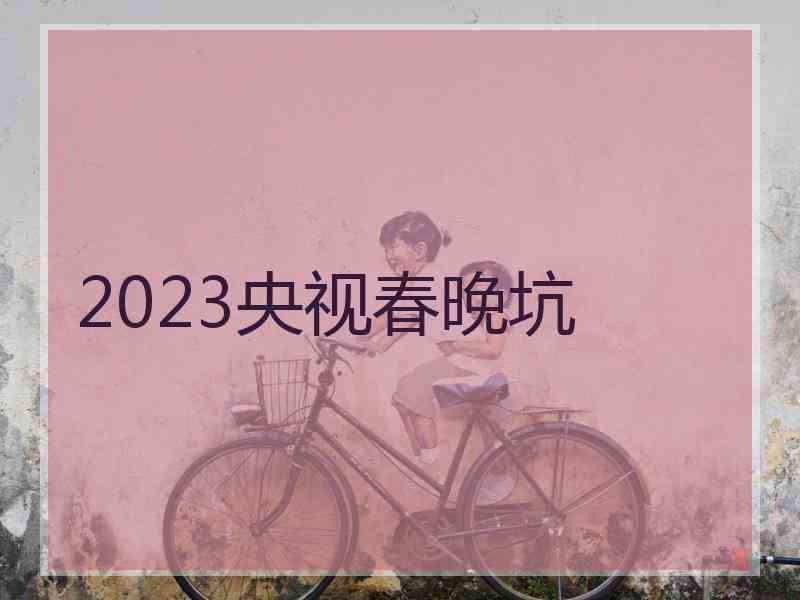 2023央视春晚坑