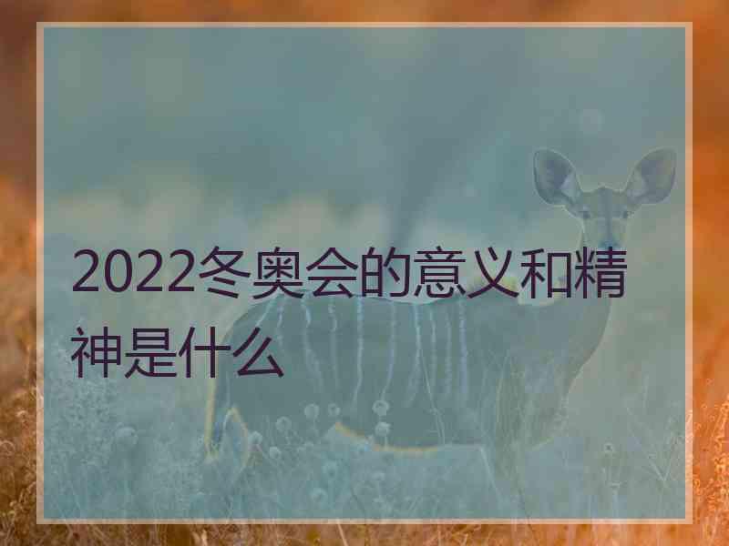 2022冬奥会的意义和精神是什么