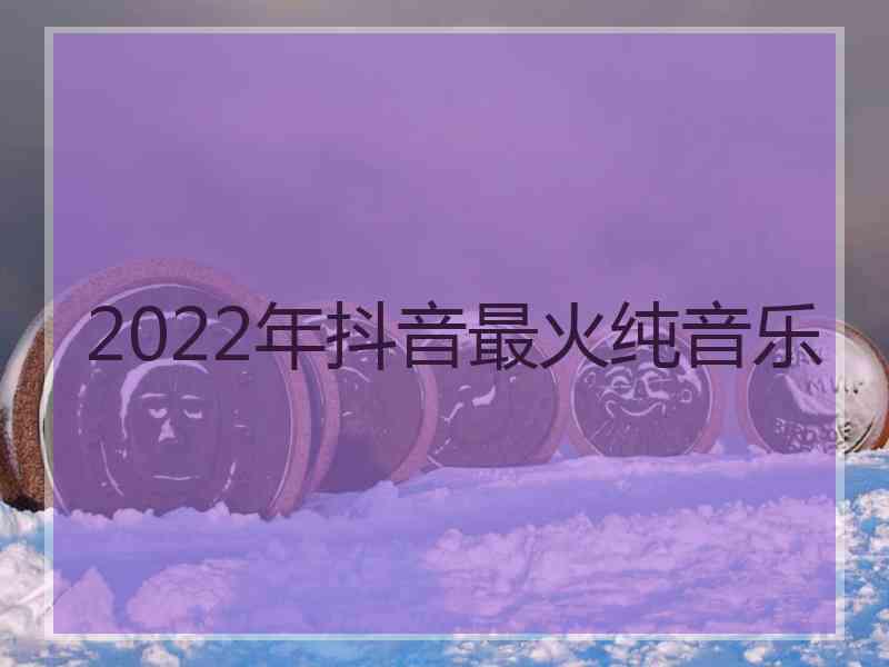 2022年抖音最火纯音乐