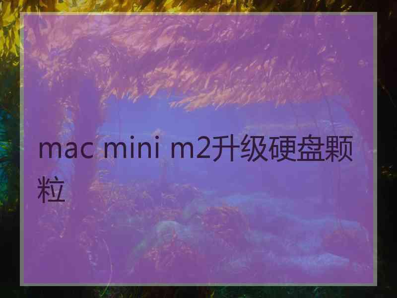 mac mini m2升级硬盘颗粒