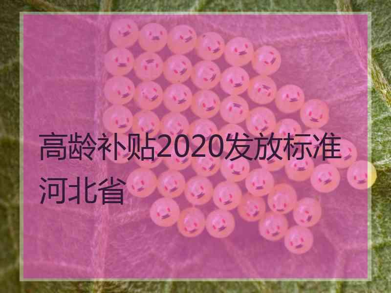 高龄补贴2020发放标准河北省