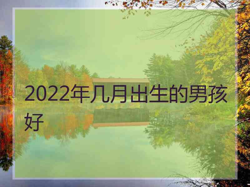 2022年几月出生的男孩好