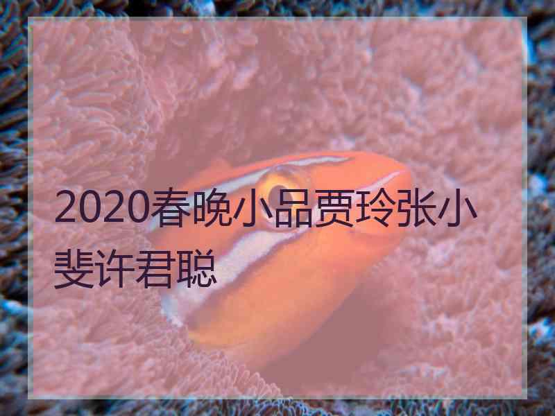 2020春晚小品贾玲张小斐许君聪