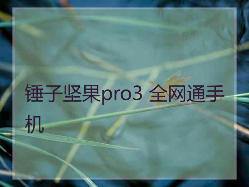 锤子坚果pro3 全网通手机