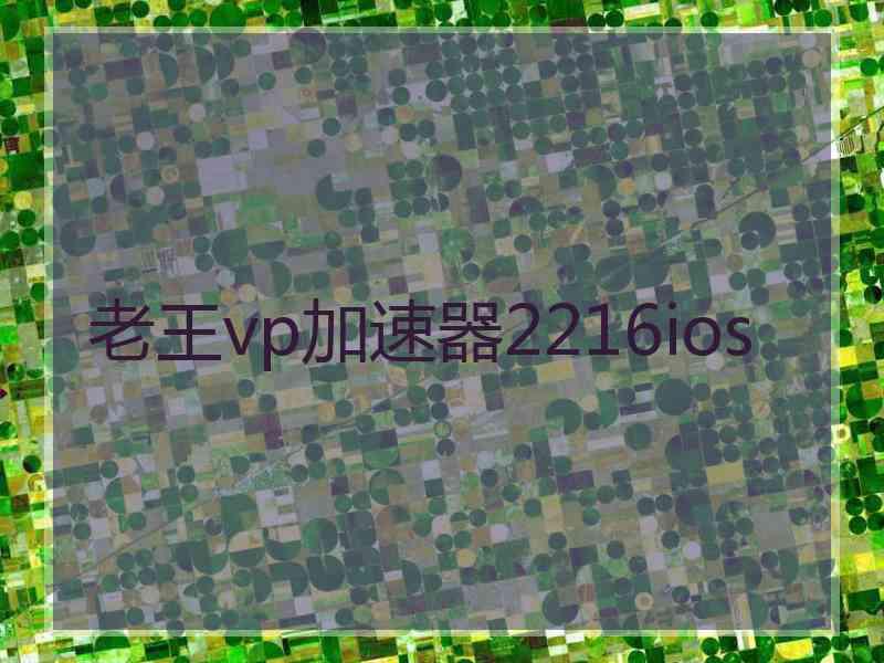 老王vp加速器2216ios