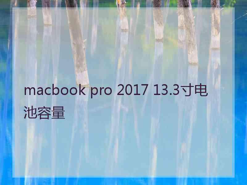 macbook pro 2017 13.3寸电池容量