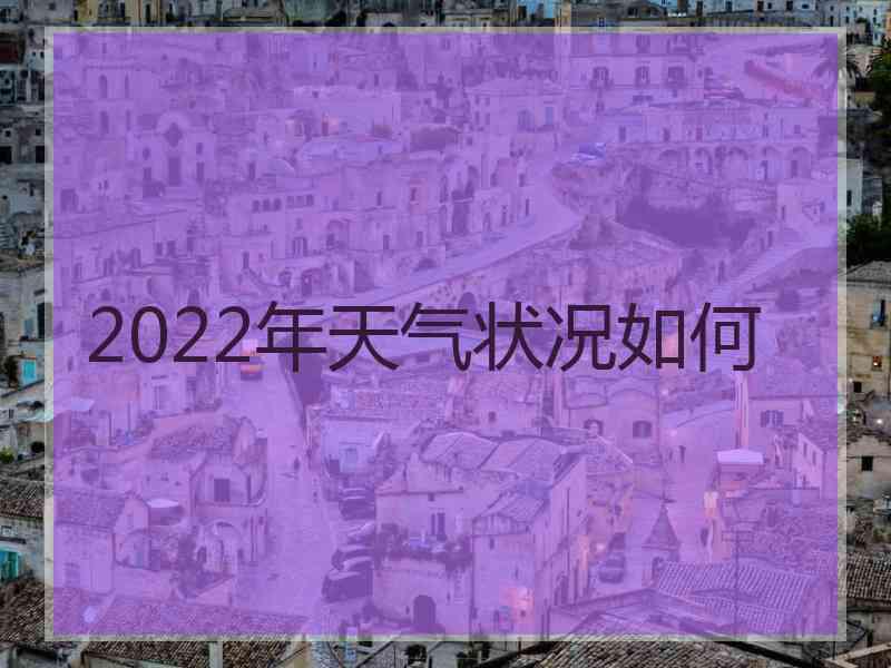 2022年天气状况如何