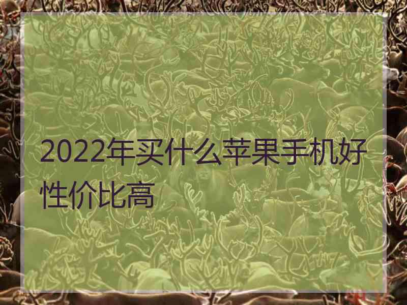 2022年买什么苹果手机好性价比高