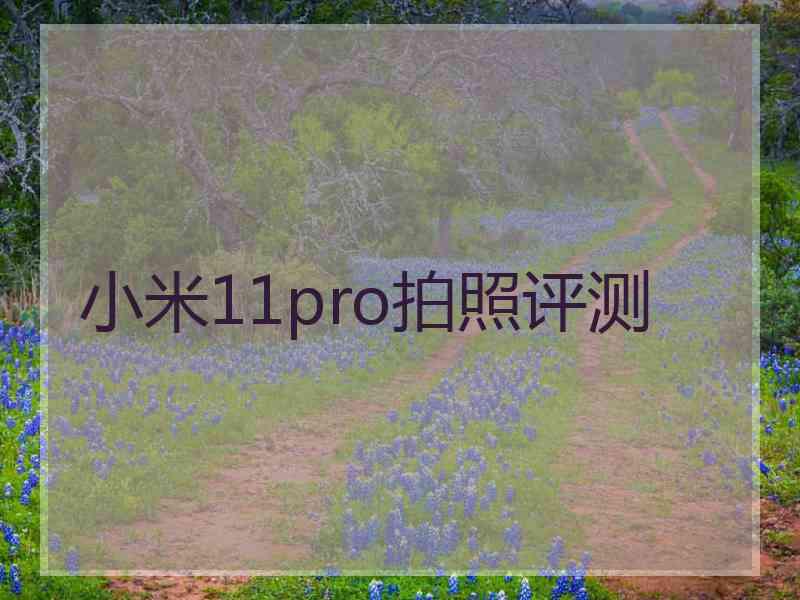 小米11pro拍照评测