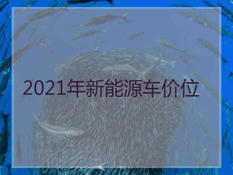 2021年新能源车价位