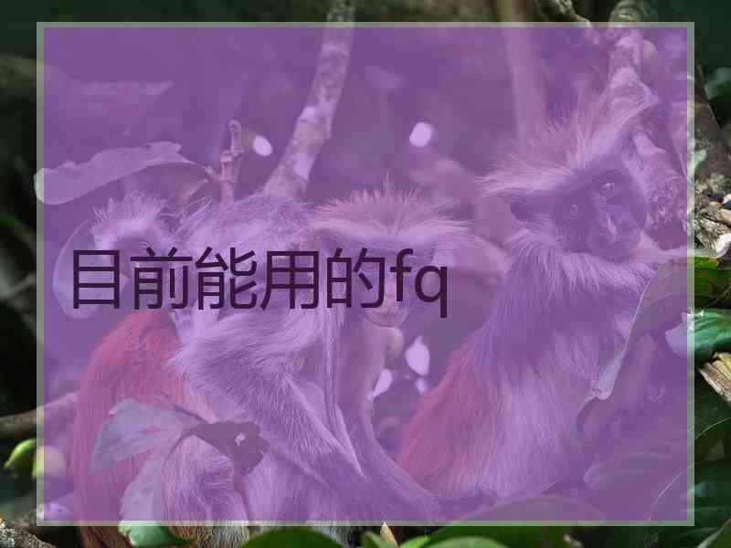 目前能用的fq