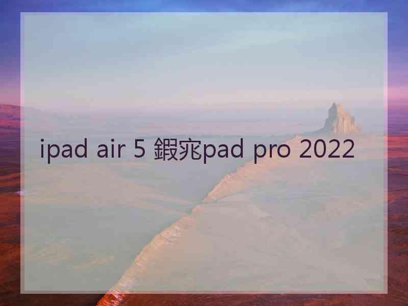 ipad air 5 鍜宨pad pro 2022