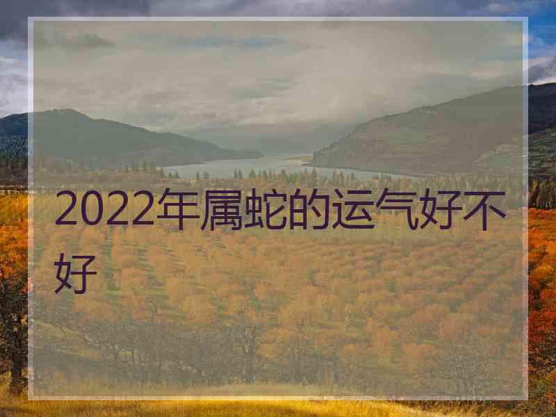 2022年属蛇的运气好不好