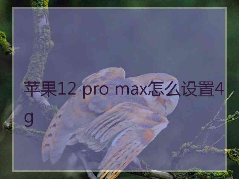 苹果12 pro max怎么设置4g