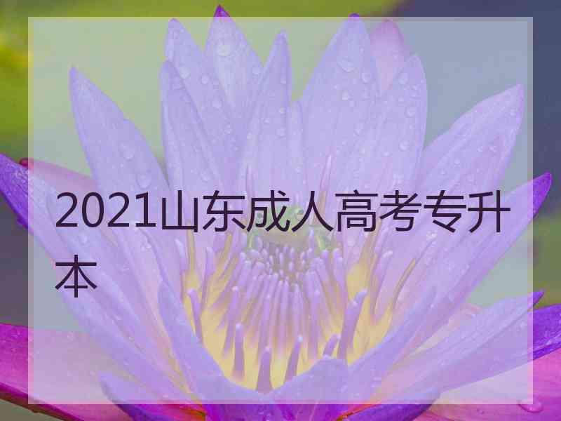 2021山东成人高考专升本