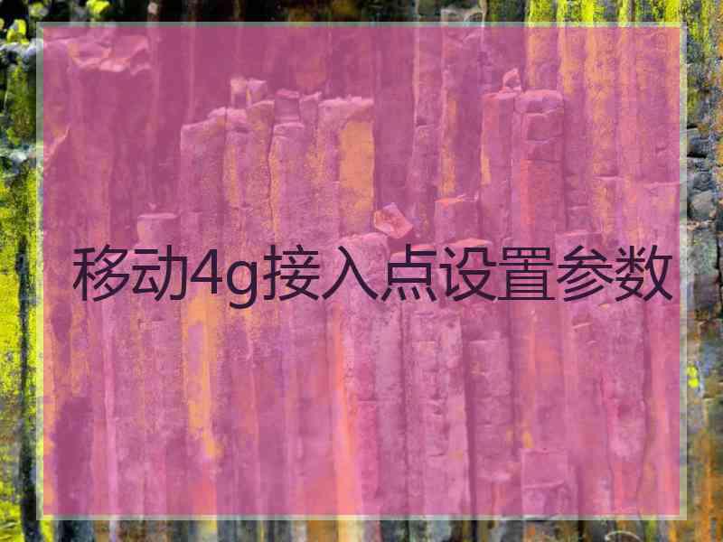 移动4g接入点设置参数