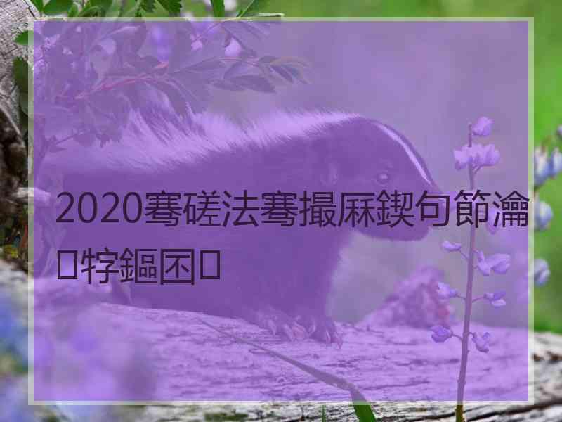 2020骞磋法骞撮厤鍥句節瀹牸鏂囨