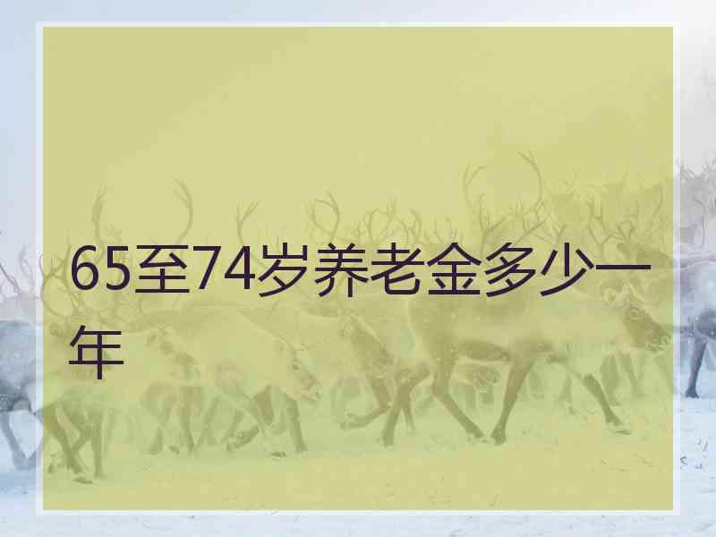 65至74岁养老金多少一年