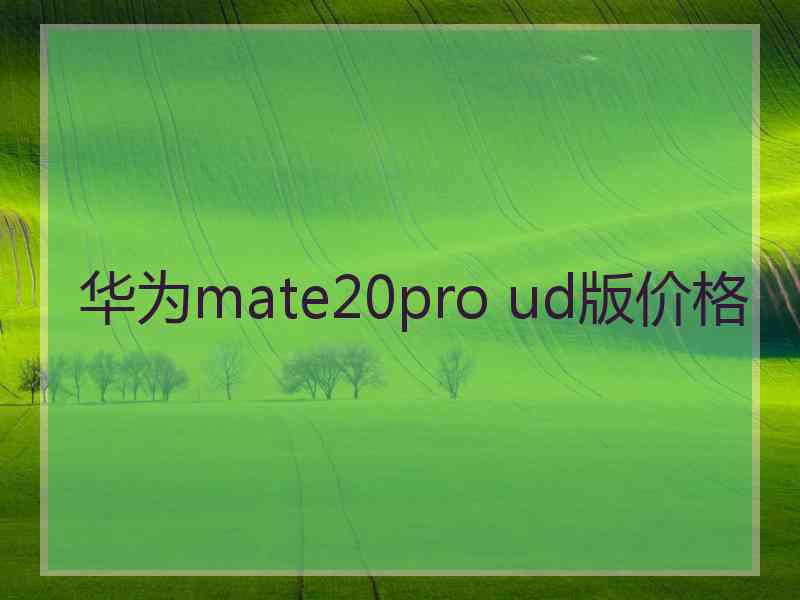 华为mate20pro ud版价格