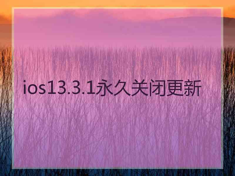 ios13.3.1永久关闭更新