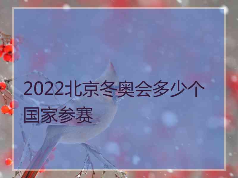 2022北京冬奥会多少个国家参赛