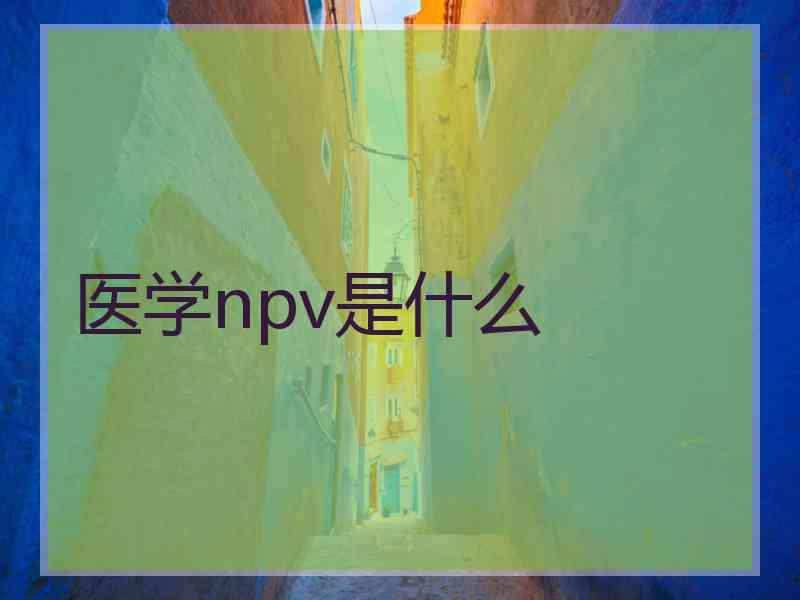 医学npv是什么