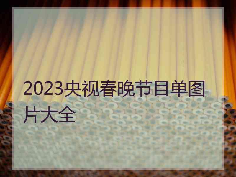 2023央视春晚节目单图片大全