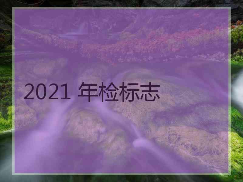 2021 年检标志