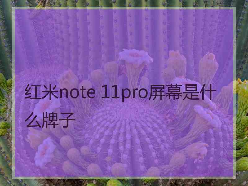 红米note 11pro屏幕是什么牌子