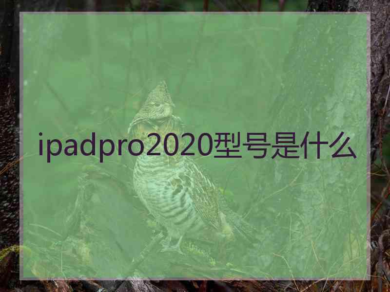 ipadpro2020型号是什么