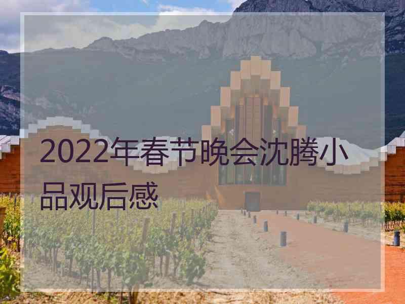 2022年春节晚会沈腾小品观后感