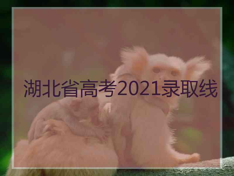 湖北省高考2021录取线