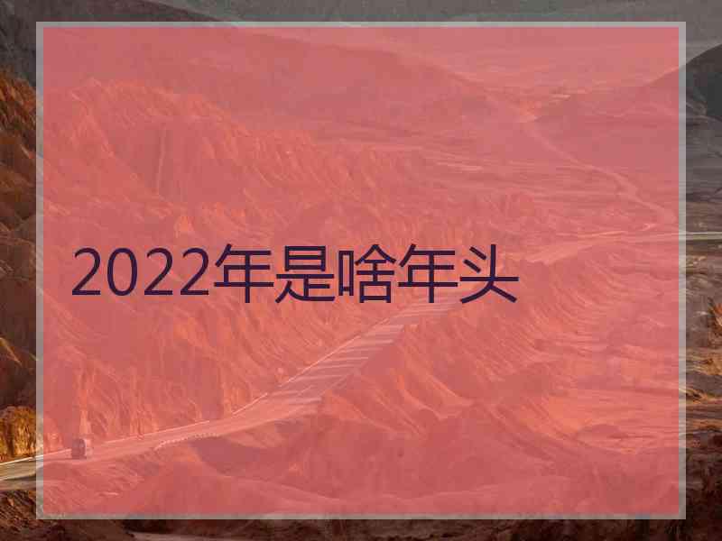 2022年是啥年头