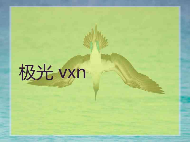 极光 vxn