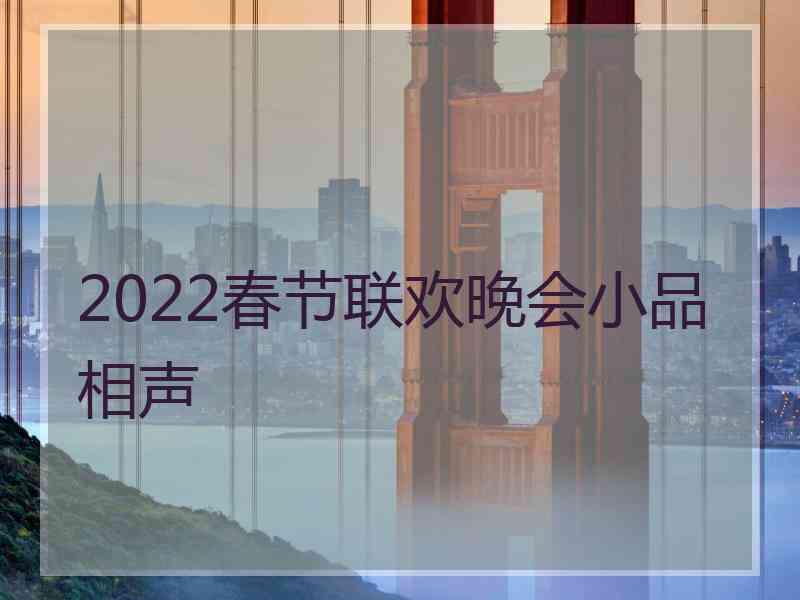 2022春节联欢晚会小品相声