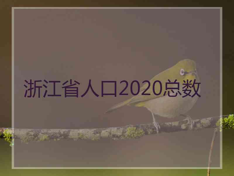 浙江省人口2020总数