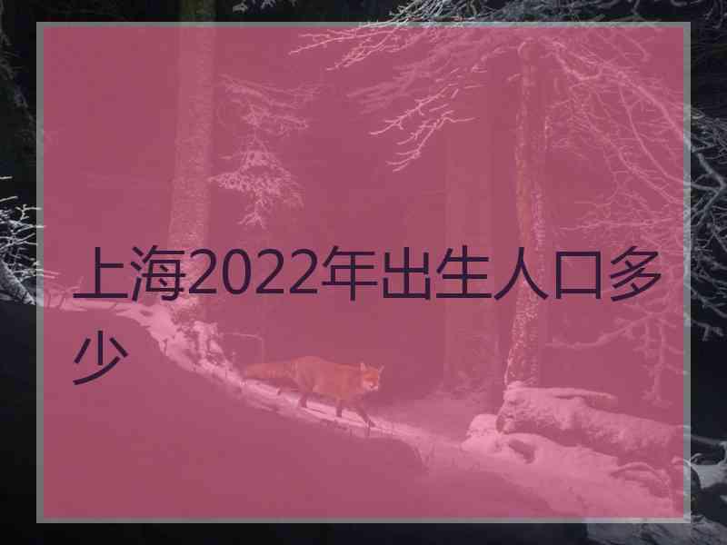 上海2022年出生人口多少