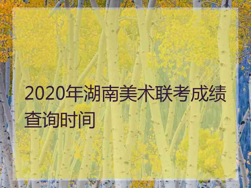 2020年湖南美术联考成绩查询时间