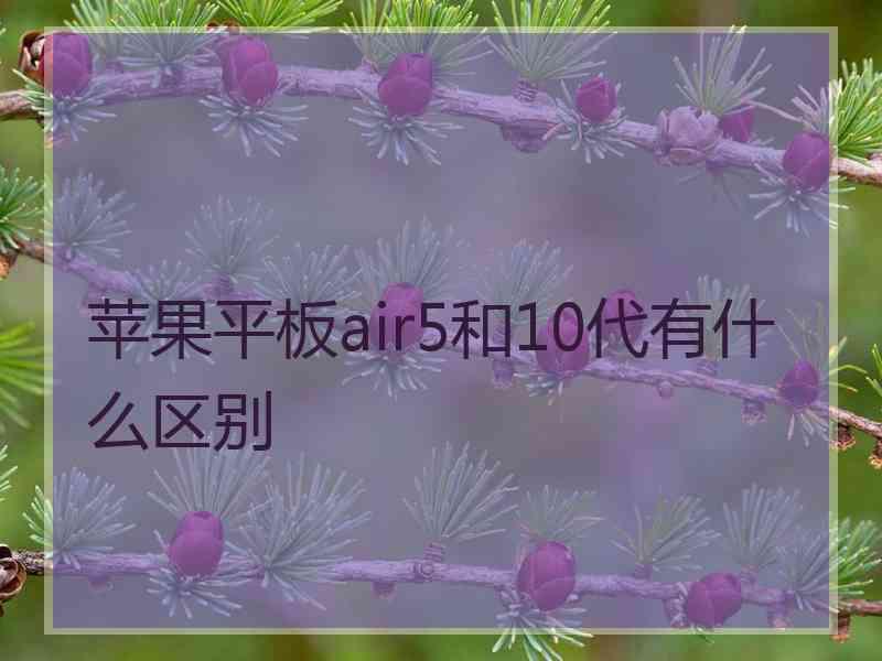 苹果平板air5和10代有什么区别