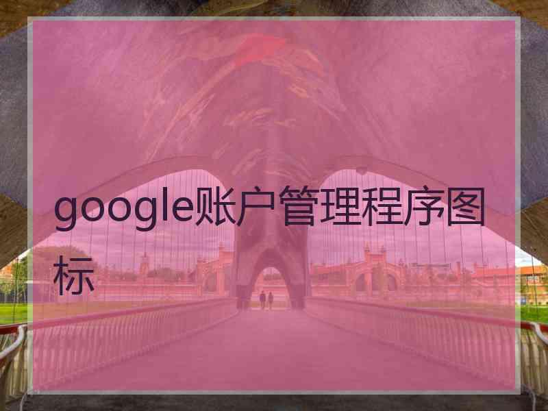 google账户管理程序图标