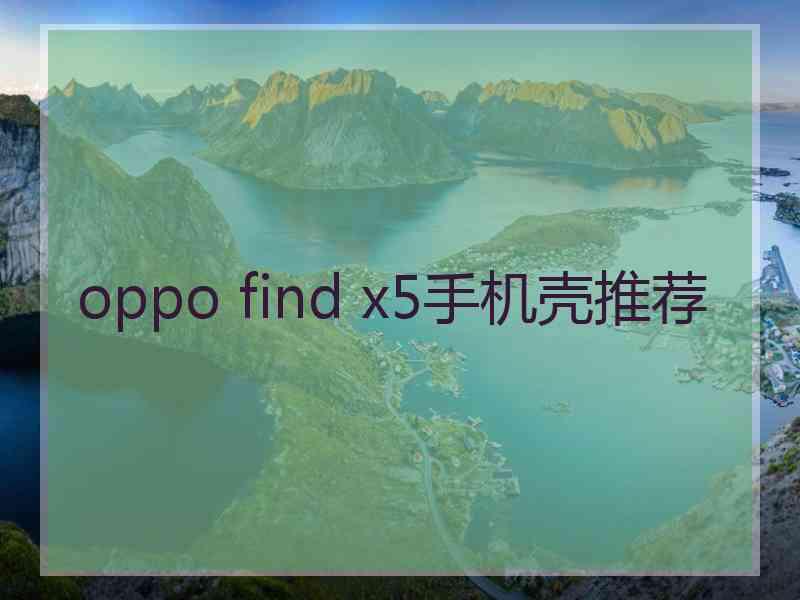 oppo find x5手机壳推荐