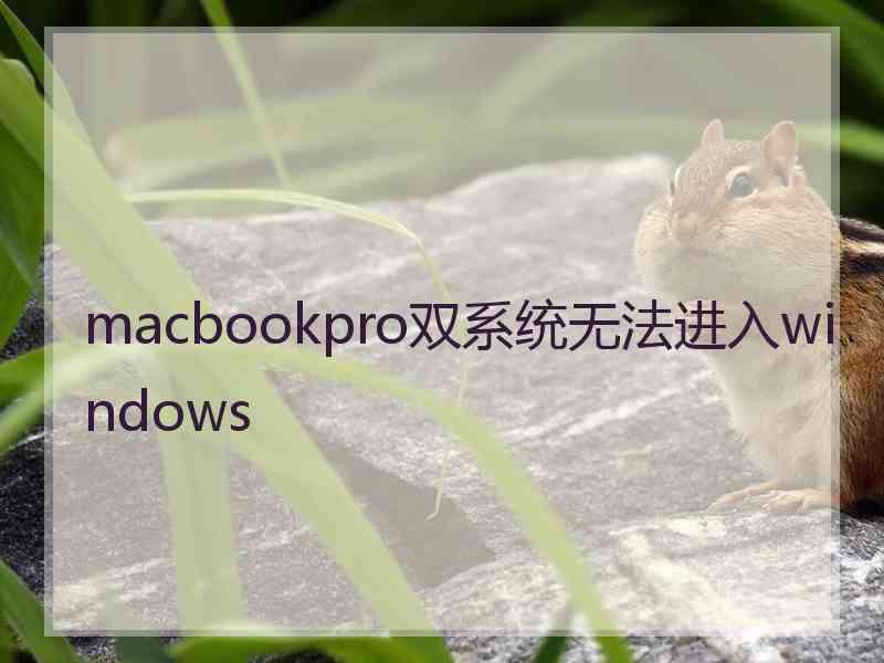 macbookpro双系统无法进入windows