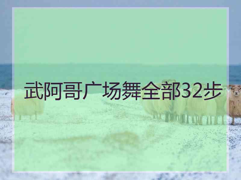 武阿哥广场舞全部32步